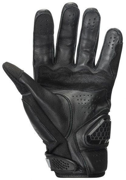 Black Palm Detail